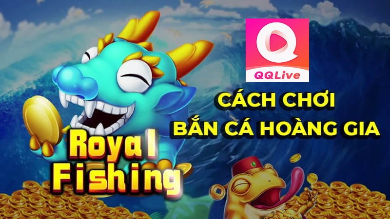 tải app qq live chơi royal fishing game